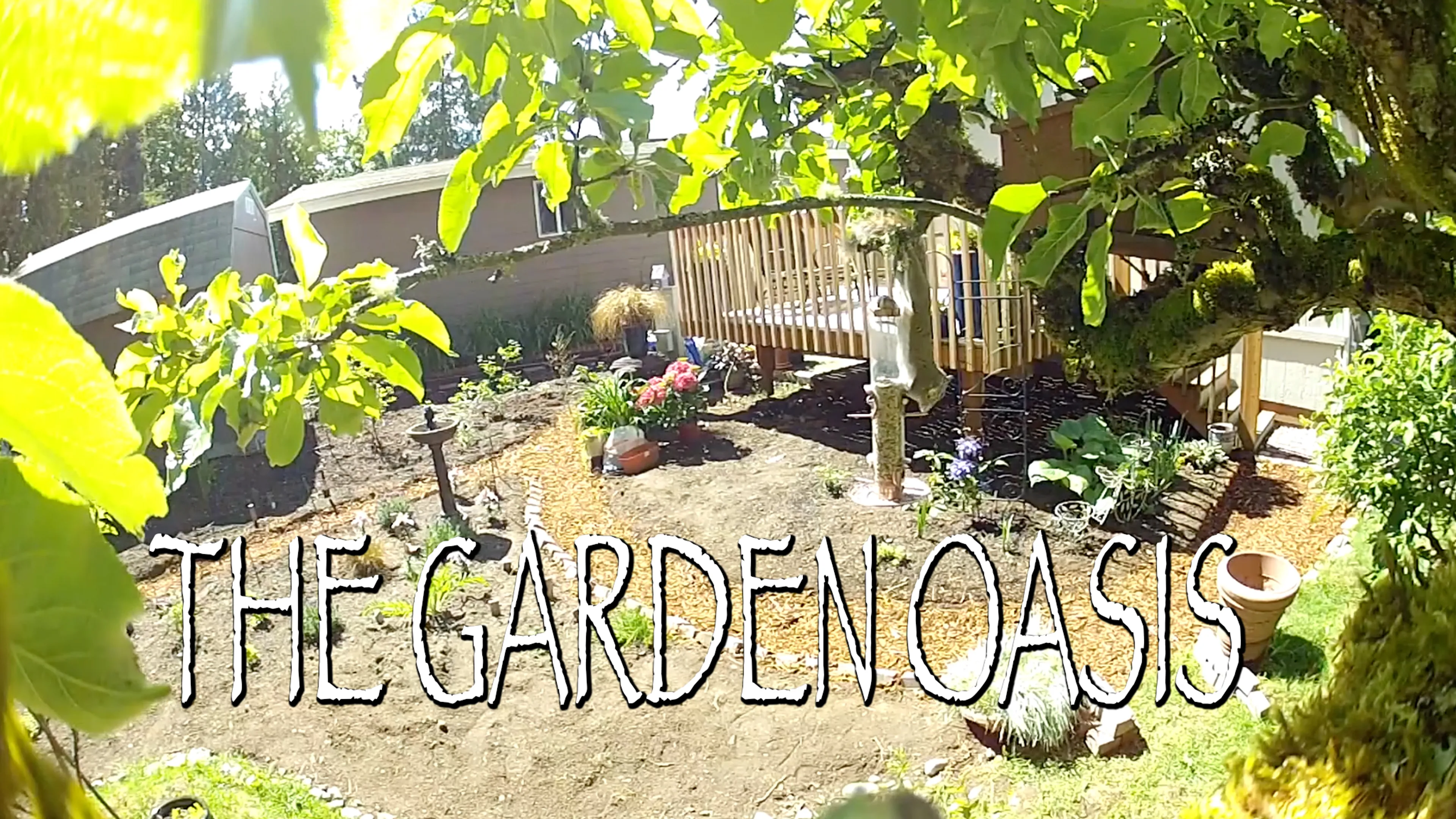 The Garden Oasis poster